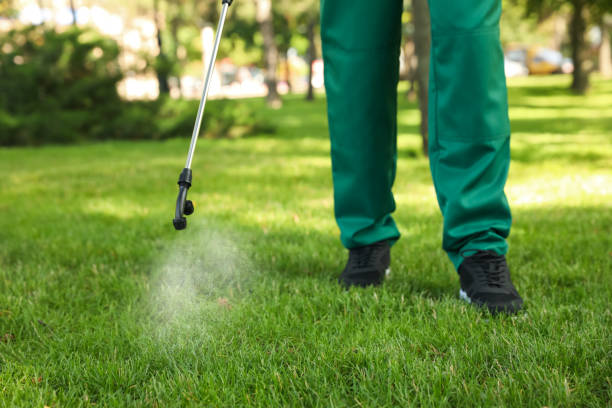 Professional Pest Control in Cordes Lakes, AZ